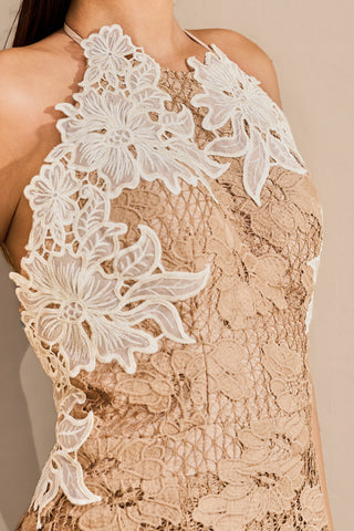 Vestido Em Renda Exclusiva - 421604